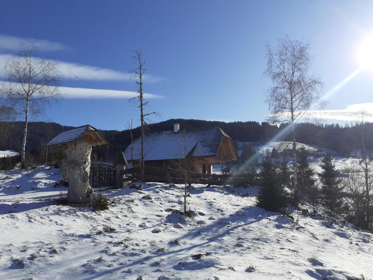 Pichelhuette Villa Murau Luaran gambar