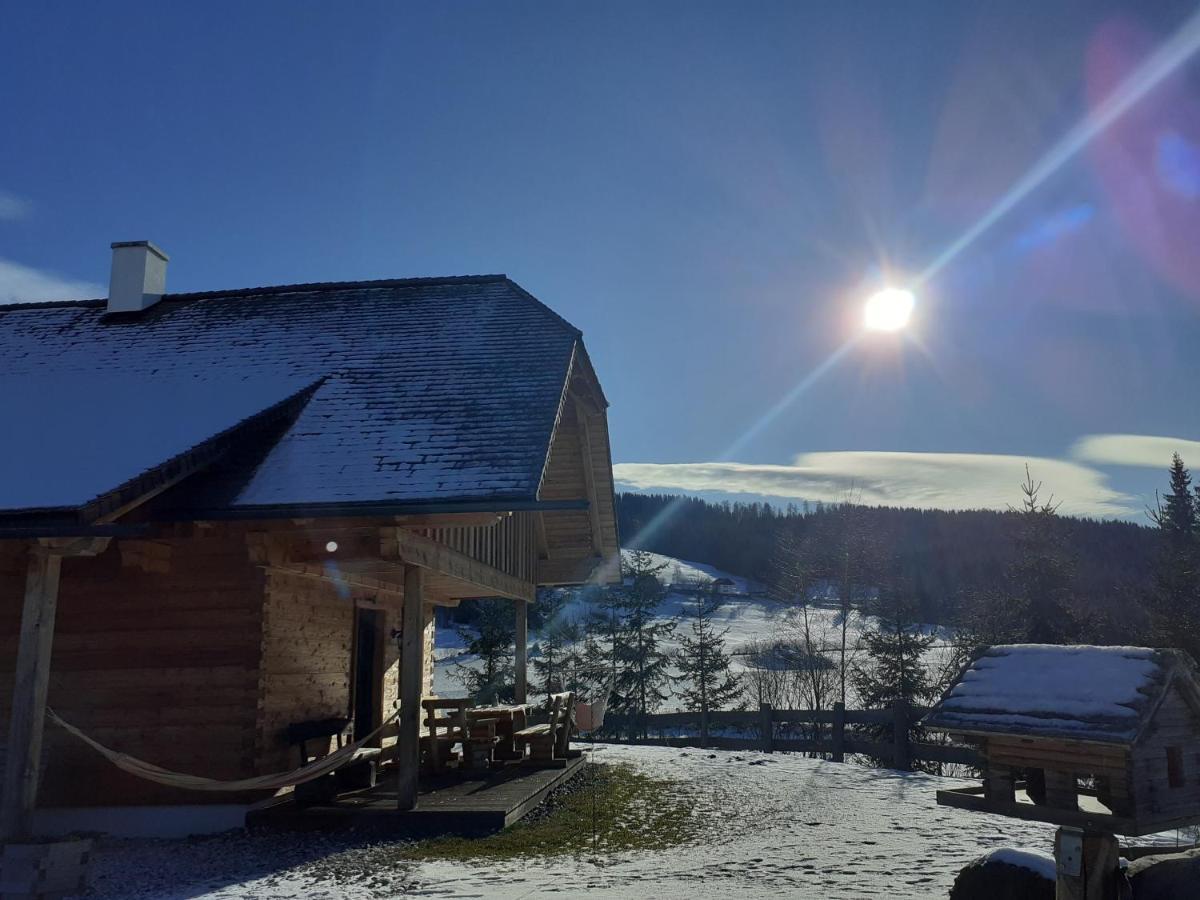 Pichelhuette Villa Murau Luaran gambar