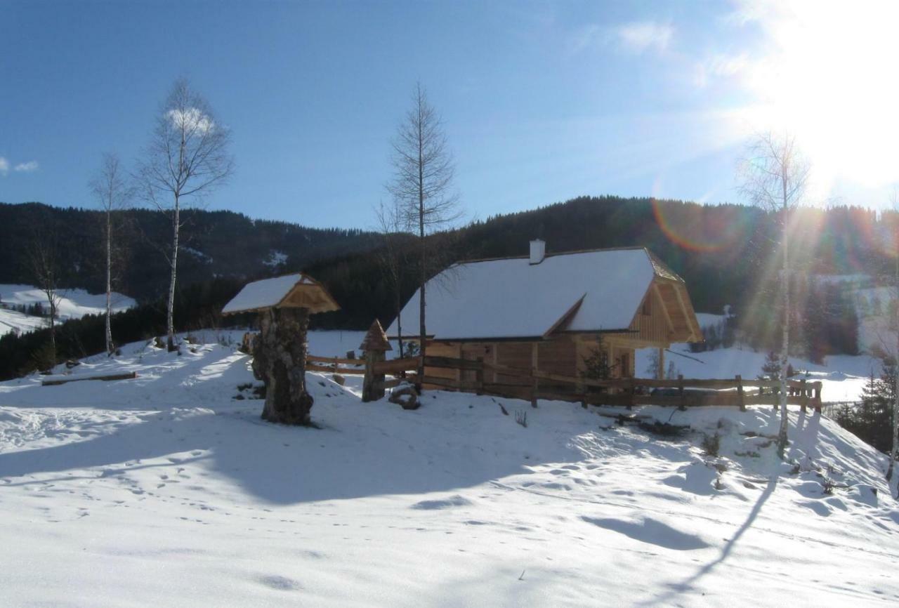 Pichelhuette Villa Murau Luaran gambar